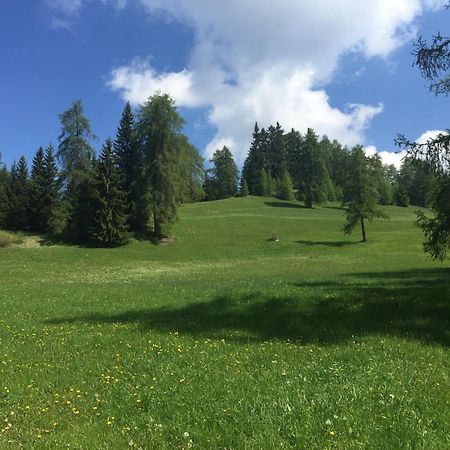 Wellness E Resort Stella Delle Alpi Ronzone Exterior photo